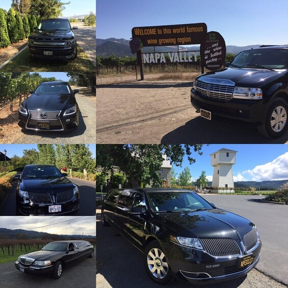 Picture 7 for Activity Napa Valley: Apex Limousine Transportation Tour 5