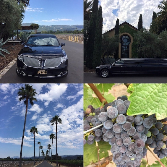 Picture 4 for Activity Napa Valley: Apex Limousine Transportation Tour 3