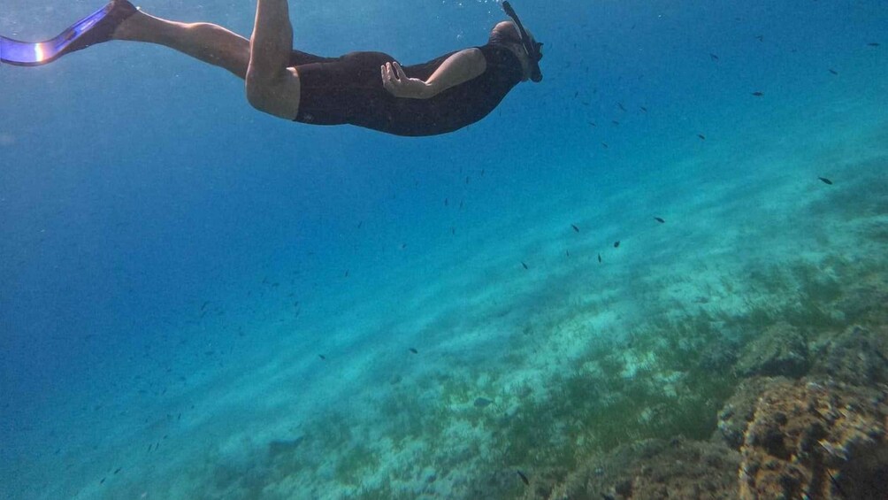 A person scuba diving underwater with fins and a mask. 2