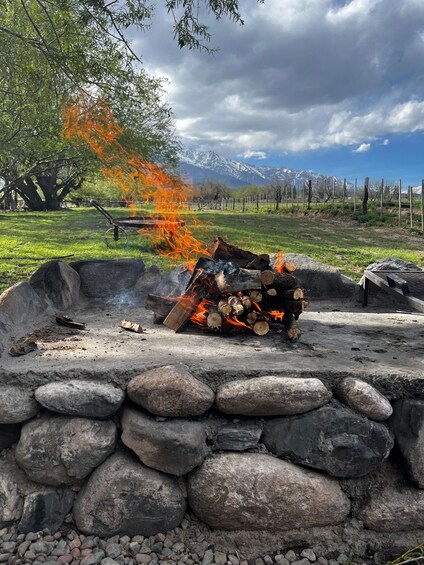 A campfire surrounded by rocks, with a tree and mountains in the background. 4