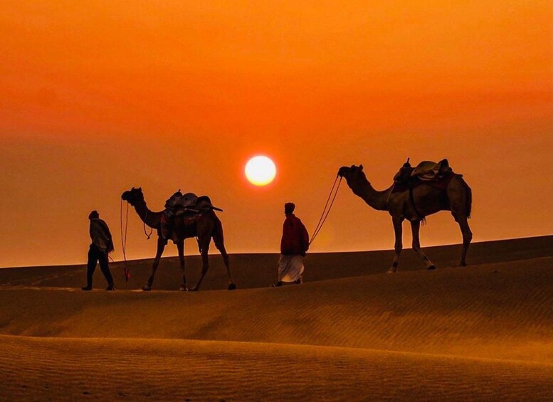 A desert landscape with two camels and two people, one leading a camel and another walking beside it. 5