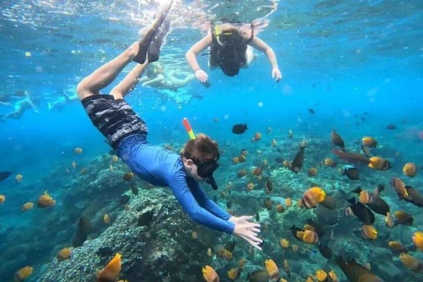 Due persone fanno immersioni subacquee circondate da pesci. 2