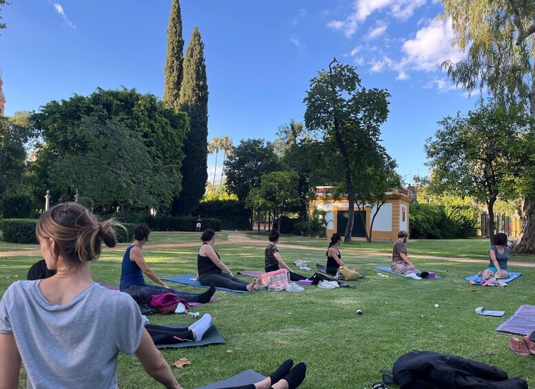 Picture 4 for Activity Seville: Group Yoga classes All levels - in French 3