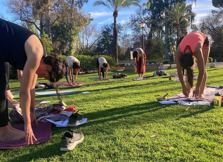 Seville: Group Yoga classes All levels - in French 1