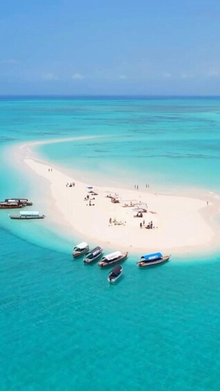 Picture 1 for Activity Full-Day Blue Lagoon & Sandbank from Zanzibar (Safari blue) 2