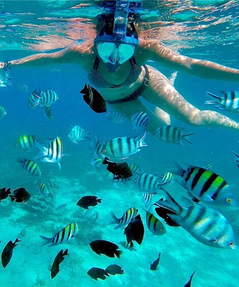 Picture 5 for Activity Full-Day Blue Lagoon & Sandbank from Zanzibar (Safari blue) 5