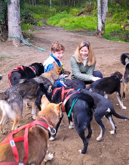 A group of dogs with harnesses gathered around two people in a forested area. 5