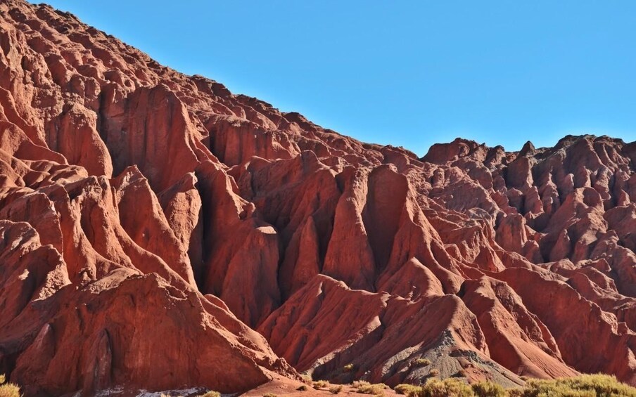 Picture 3 for Activity Rainbow Valley Tour + Petroglyphs (Yerbas Buenas) 3