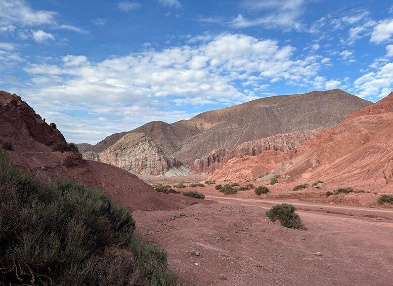 Rainbow Valley Tour + Petroglyphs (Yerbas Buenas) 1
