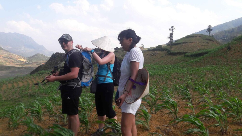 Three people hiking in a hilly area with young plants. 2