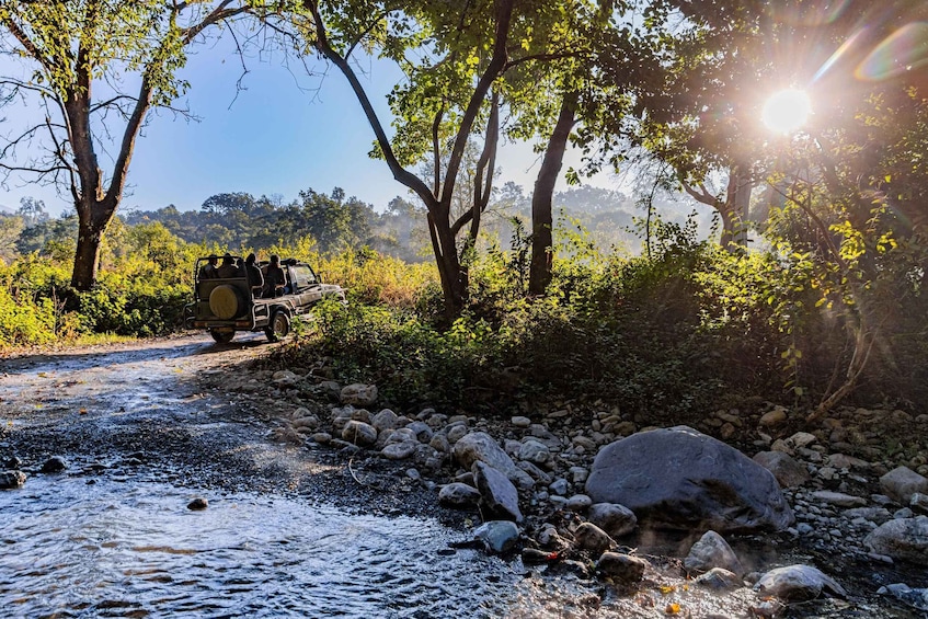Picture 1 for Activity From sariska: Sariska National Park gypsy jungle safari 3