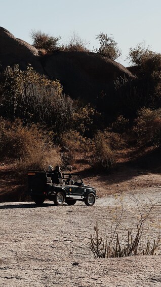 Picture 7 for Activity From sariska: Sariska National Park gypsy jungle safari 4