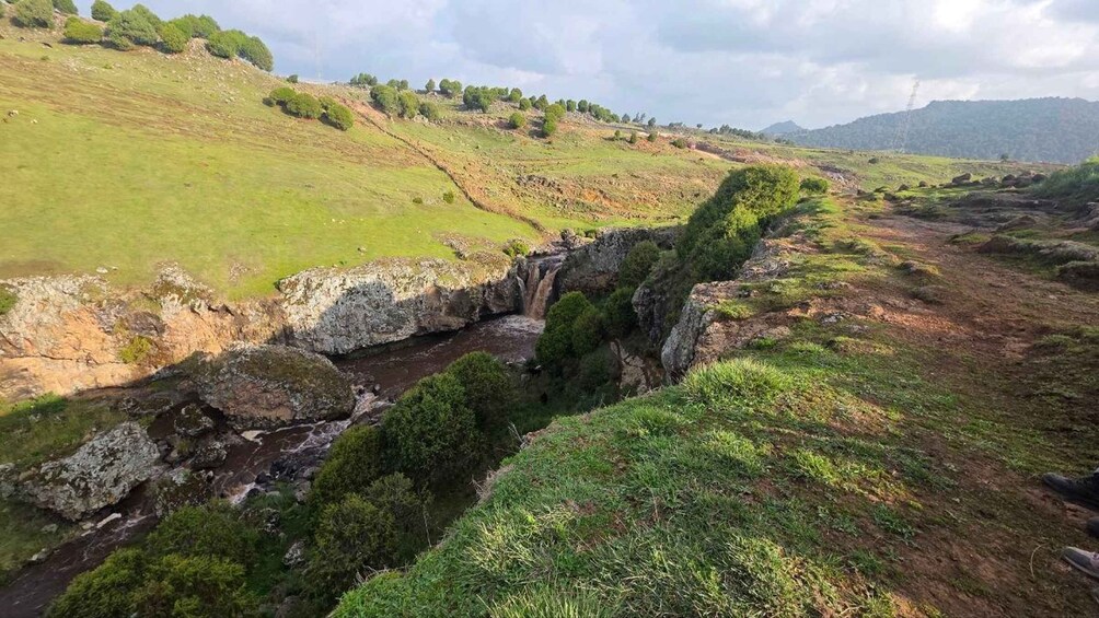 Picture 2 for Activity Addis Ababa: 6-Day Bale Mountains Adventure Trek 4
