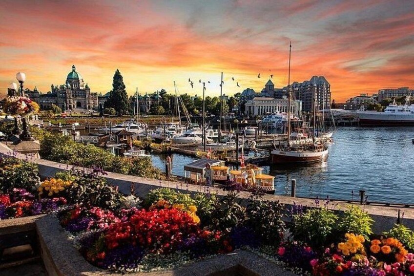 Vancouver Island, Butchart, Malahat 2-Day Tour in Chinese/English 4