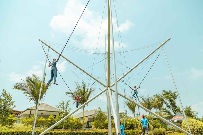 People performing a high-rope course with a clear sky and residential buildings in the background. 2