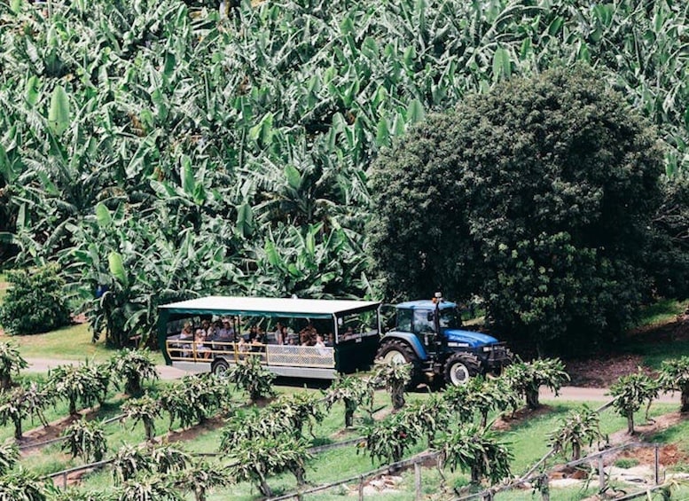 Picture 4 for Activity Rail Trail E-Bike Ride & Tropical Fruit World Visit 2