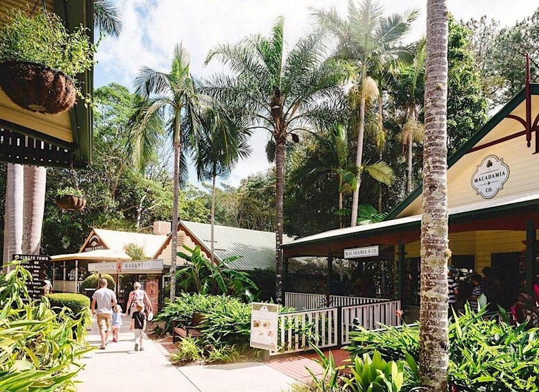 Picture 17 for Activity Sunshine Coast: Eumundi Markets, Kenilworth & Ginger Factory 4
