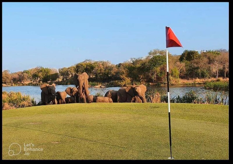 Picture 2 for Activity Multi-day Golf & Kruger Park Safari Tour from Johannesburg 2