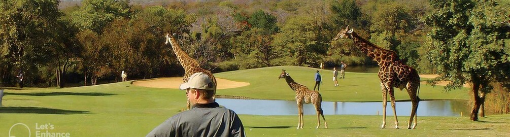 Multi-day Golf & Kruger Park Safari Tour from Johannesburg 1