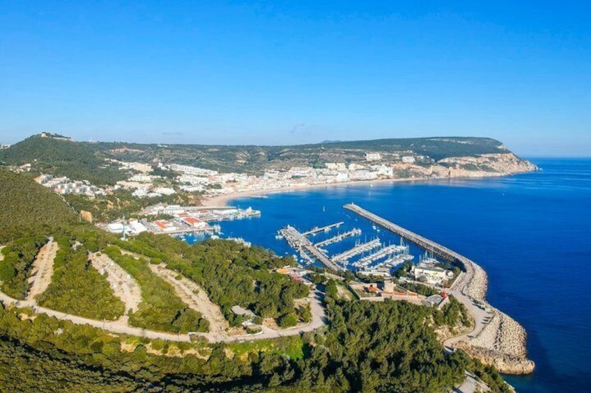 Arrábida,Olive and Sesimbra Tiles, Wine Fried Cuttlefish 2