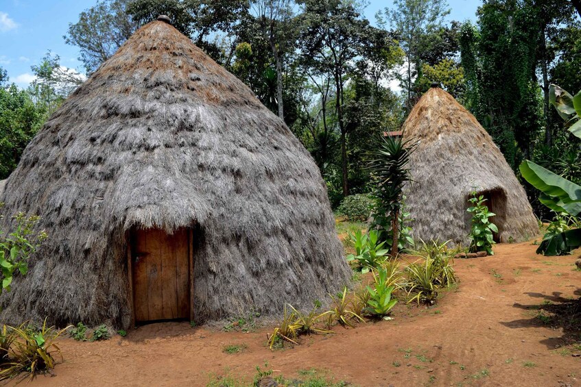 Two thatched huts with wooden doors, surrounded by greenery and trees. 1