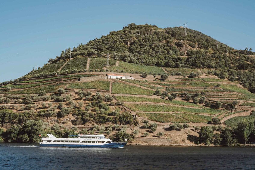 A boat on a river, vineyards on a hillside, and a white building. 2