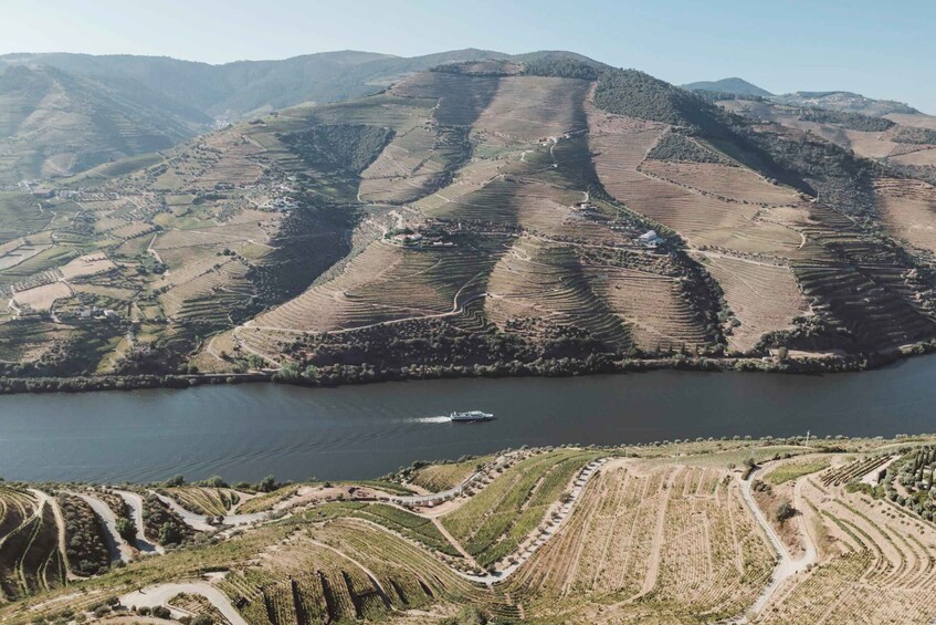 A river winding through terraced vineyards with a boat on the water. 4