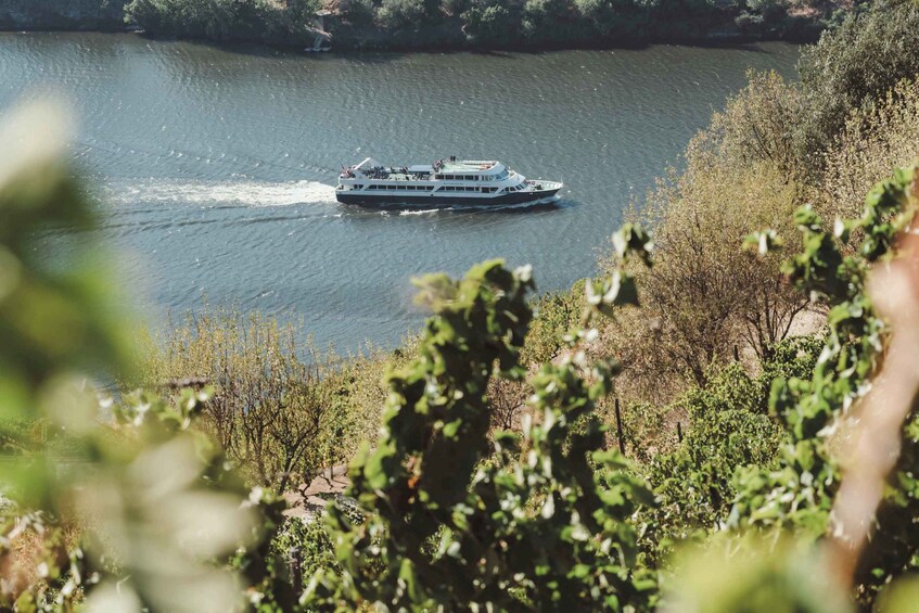 A river with a boat in motion, surrounded by greenery. 1