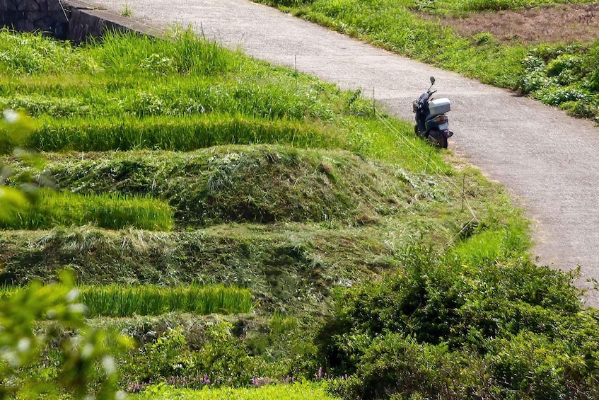 Picture 3 for Activity Rental Motorcycle Tour in Kyoto: Arashiyama & West Temple 4