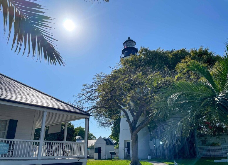A lighthouse, a white building, and a palm tree. 1