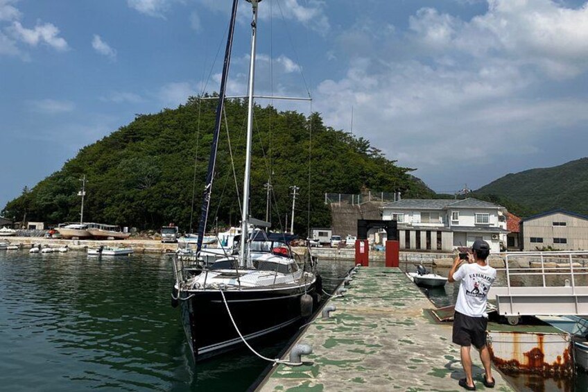 A harbor with boats, a dock, and a hill in the background. 5