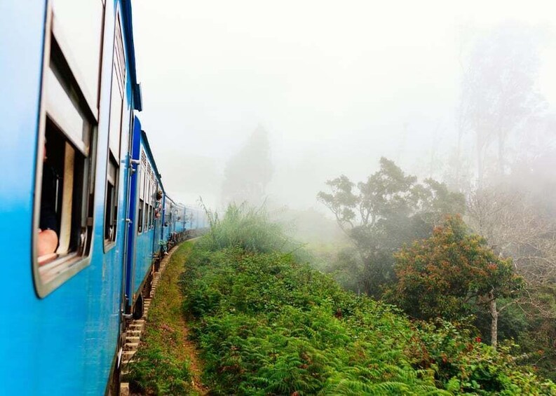 A blue train traveling through a misty forest. 4