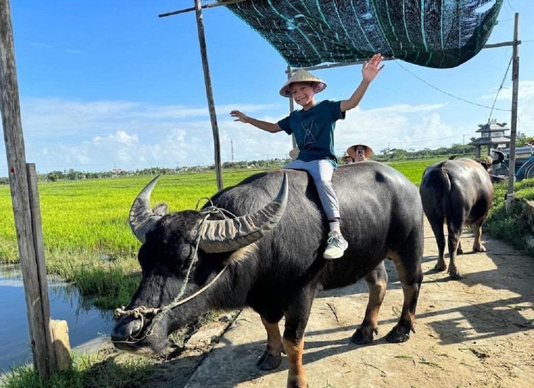 A person riding a water buffalo on a dirt path with green fields in the background. 1