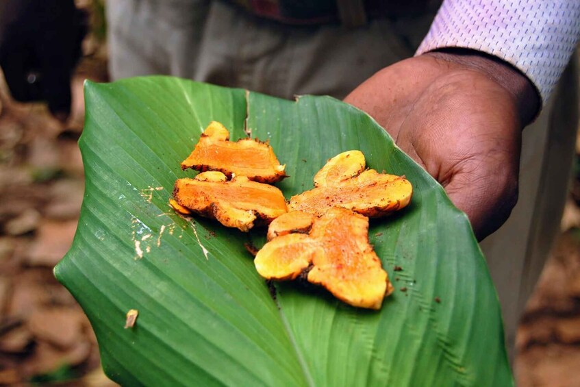 Picture 13 for Activity ZANZIBAR: Spice farm, jozani forest and mtende beach 1
