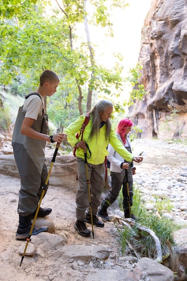 Picture 18 for Activity The Famous Narrows River Hike With a Guiding Professional 5