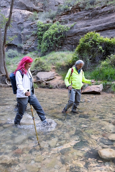 Picture 20 for Activity The Famous Narrows River Hike With a Guiding Professional 3