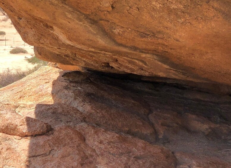 Picture 4 for Activity Spitzkoppe: 2-Day Spitzkoppe Budget Adventure 5