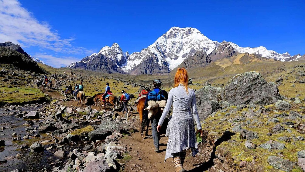 Picture 5 for Activity 5 days and 4 nights Ausangate Apu Trail Trek 5
