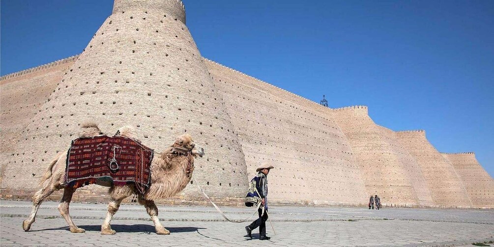 A camel with a rider in traditional attire walking in front of a large, conical stone structure. 1