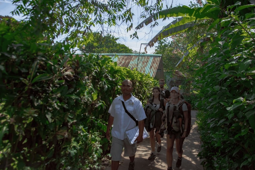 A group of people walking on a narrow path surrounded by dense foliage. 5