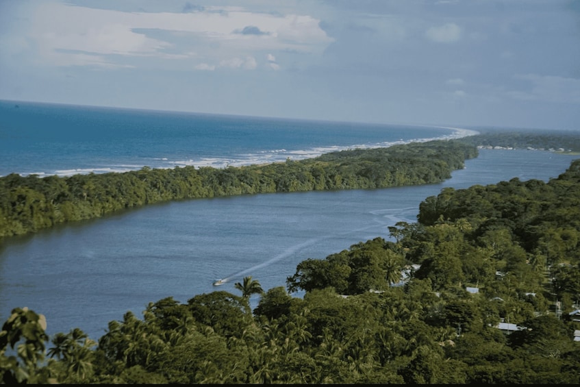 A river winding through a dense forest, with a beach and ocean in the background. 3