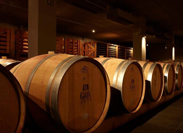 Wooden wine barrels in a dimly lit warehouse. 5