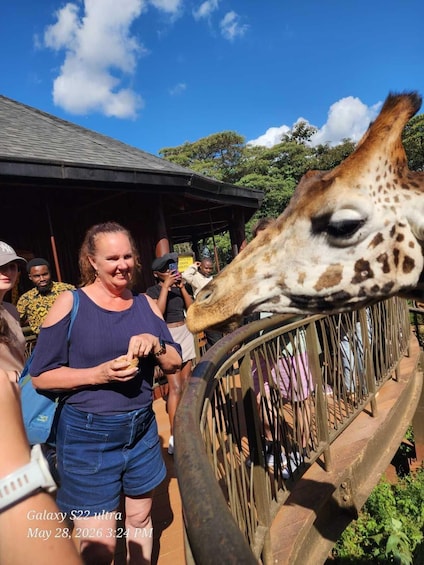 Nairobi National Museum, Snake Park & Giraffe Centre Tour 1
