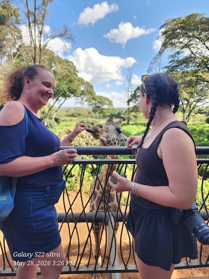 Picture 13 for Activity Nairobi National Museum, Snake Park & Giraffe Centre Tour 2