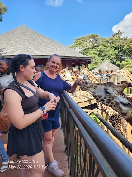 Picture 6 for Activity Nairobi National Museum, Snake Park & Giraffe Centre Tour 3