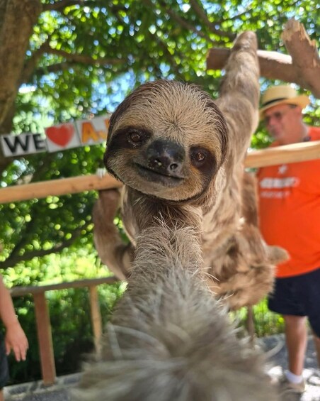 A sloth hanging from a wooden structure with a sign that reads 'WE ❤️ A'. 3