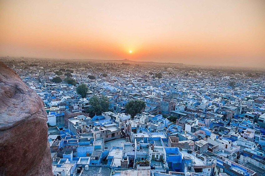 Picture 8 for Activity 8-Day Desert Adventure - Jodhpur, Jaisalmer & Bikaner 2