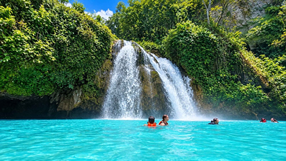 Picture 4 for Activity Cebu: Whale Shark Swim, Kawasan Falls & Moalboal Sardine Run 2