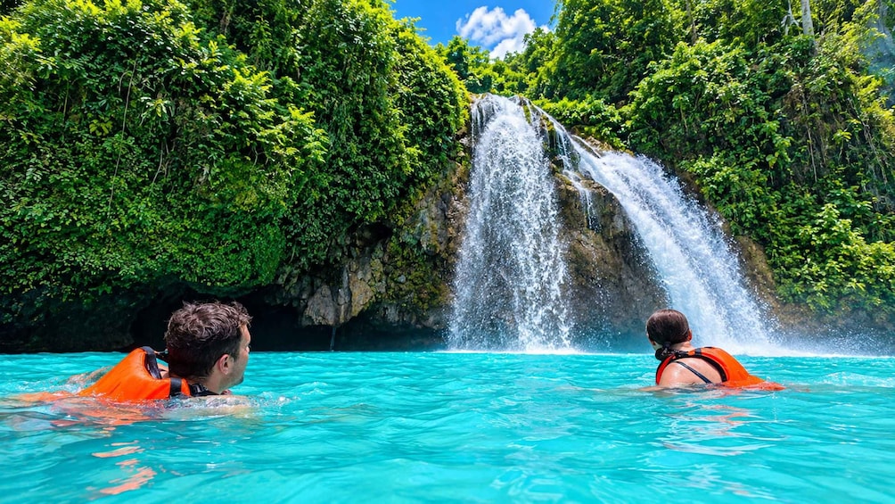 Picture 1 for Activity Cebu: Whale Shark Swim, Kawasan Falls & Moalboal Sardine Run 5