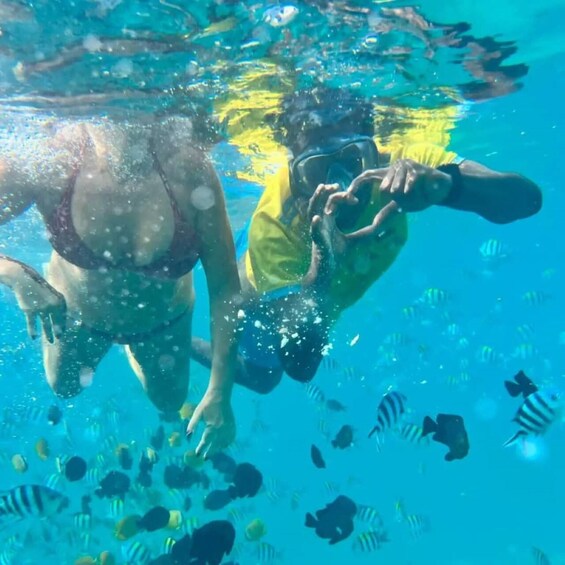 Two people snorkeling underwater with fish. 5
